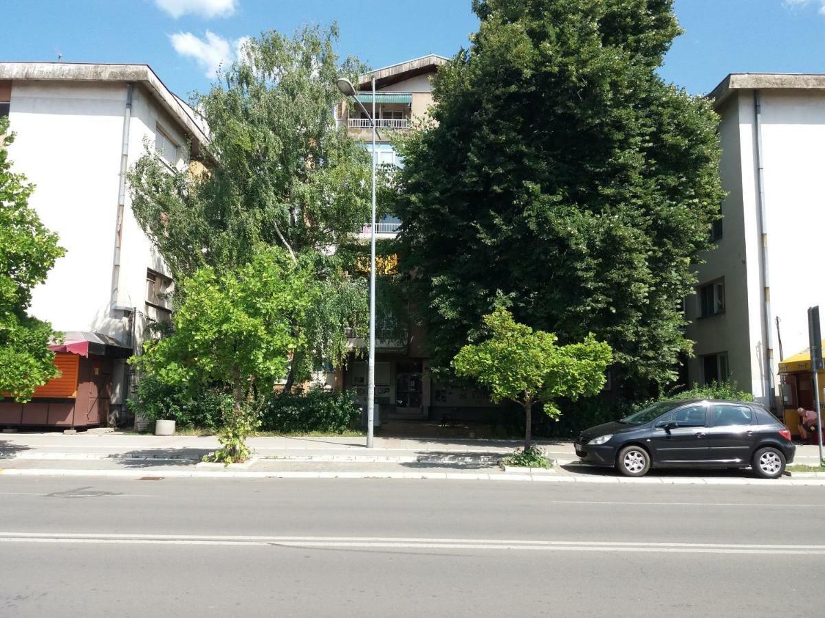 Stan Na Dan Dunja 2 Apartment Vrsac Exterior photo